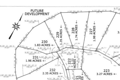0 Tunnie Pt, Lot 229, plat excerpt