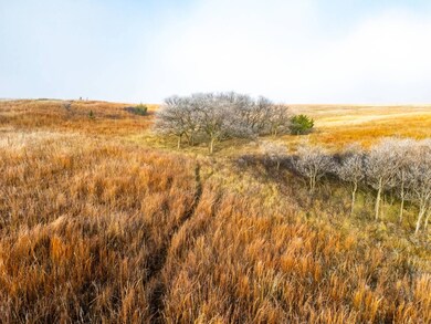 TBD S County Rd 170, Shattuck, OK 73858 - photo 7