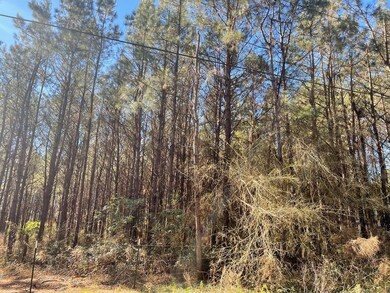 LOT 2 Cr Connerly Rd, Other, MS 39641 - photo 3