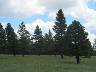 Pugh Lockett Ranches 16E 089