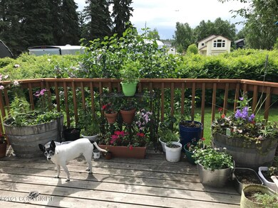 Deck Flowers Summer