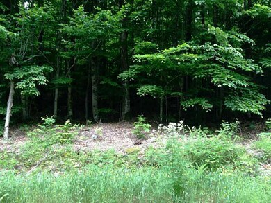 0 Bonney Rd unit 1145846, Sumner, ME 04270 - photo 6