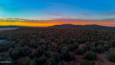 dji_fly_20250108_174420_0819_17364007270