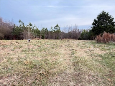 1804 Mulberry Academy St, Franklinville, NC 27248 - photo 6