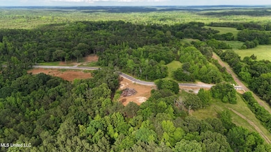 3 Tyro Branch Cove, Senatobia, MS 38668 - photo 2