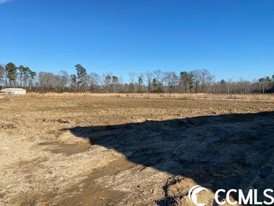 7712 Hunting Swamp Rd unit Live Oak, Conway, SC 29527 - photo 5