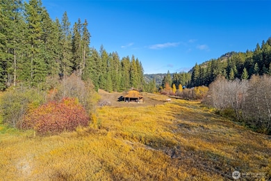 16930 Chumstick Hwy, Leavenworth, WA 98826 - photo 5