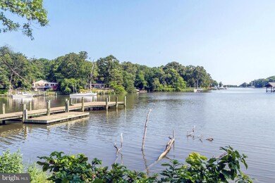 462 Cranes Roost Ct, Annapolis, MD 21409 - photo 2