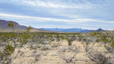 4500, Terlingua, TX 79852 - photo 3