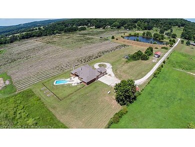 Aerial View.