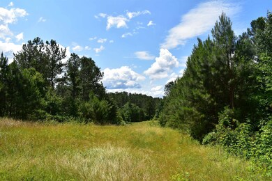 0 Nickelsville Rd NW unit 20148653, Resaca, GA 30735 - photo 5