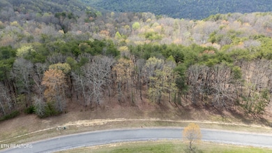 0 High Meadow Dr unit 1296264, Spencer, TN 38585 - photo 6