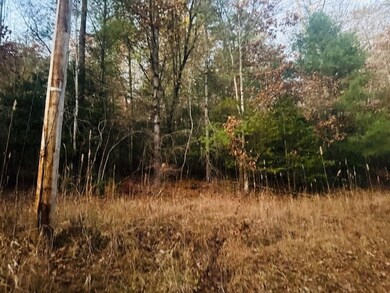 LT 9 Timberline Rd, Murphy, NC 28906 - photo 5