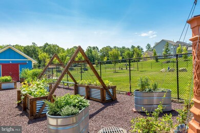 25 Snowdrop Dr, Stafford, VA 22554 - photo 6