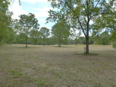 0 Hailey Dr & Belleview Rd unit 26021836, Franklin, NC 28734 - photo 5