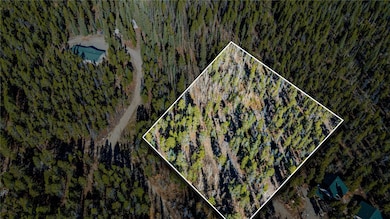 235 Willow Ln, Fairplay, CO 80440 - photo 6