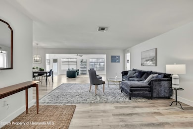 7231 Big Bend Dr, Spring Hill, FL 34606 - photo 6