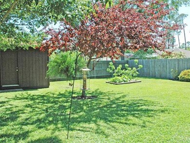 Backyard.