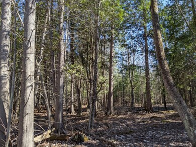 Gorman Rd. St. Ignace MI (4)