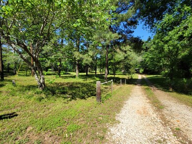1256 Cr 721, Nacogdoches, TX 76964 - photo 6