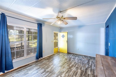 Living room view from kitchen