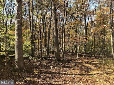 0 Cliff Ln, Bluemont, VA 20135 - photo 6