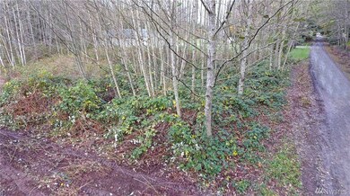 31 58th Ave NW, Stanwood, WA 98292 - photo 2