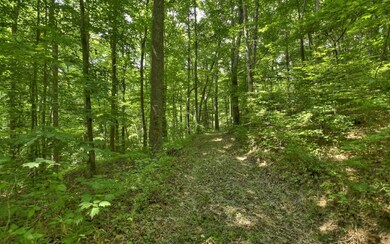 0 52 E, Ellijay, GA 30540 - photo 6