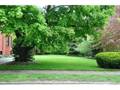 Yard/Garden.