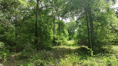 17718 Tranquil Ln, Cat Spring, TX 78933 - photo 7