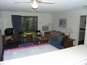 103 Black Bear Way unit 103, Waterville Valley, NH 03215 - photo 3