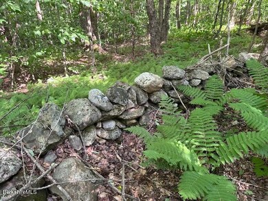 Beautiful old stone wall