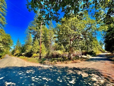 291 Oliva Dr, Hayfork, CA 96041 - photo 2