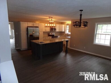 195 Jones Rd, Harrisburg, IL 62946 - photo 6