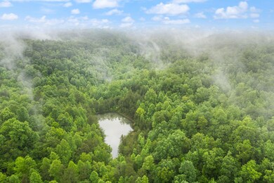 21-web-or-mls-DJI_0060