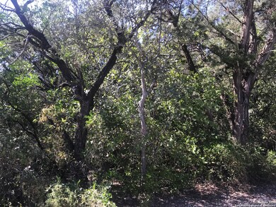 11253 Condor Pass, Helotes, TX 78023 - photo 5