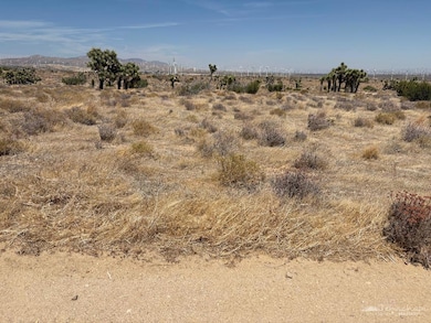 0 Tehachapi Willow Springs Rd, Mojave, CA 93501 - photo 4
