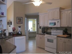 Kitchen View 2