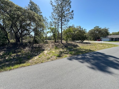 3563 W Eunice St, Dunnellon, FL 34433 - photo 7