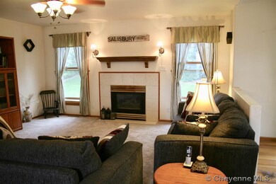 New Carpet