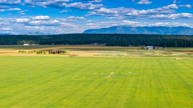 DJI_0541