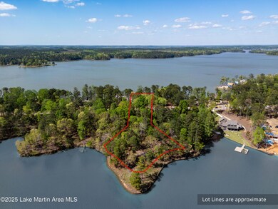 Phase 1 Lot 41 (5 of 19)-blue water-lot
