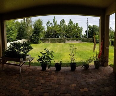 Patio & Back Yard