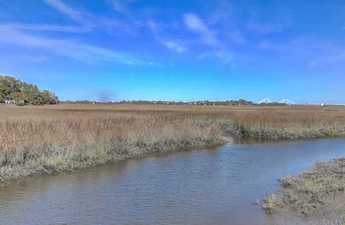 Tidal Creek