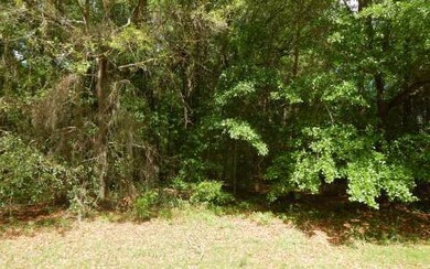 0 NW Scenic Lake Dr unit 87119, Lake City, FL 32055 - photo 2