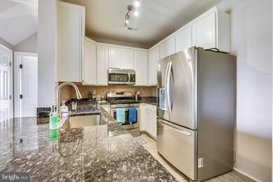 11310 Westbrook Mill Ln unit 303, Fairfax, VA 22030 - photo 4