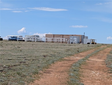 1920 Badger Basin Rd, Hartsel, CO 80449 - photo 3