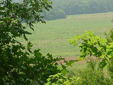 BEAUTIFUL VIEW OF OPEN SPACE FROM REAR OF LOT