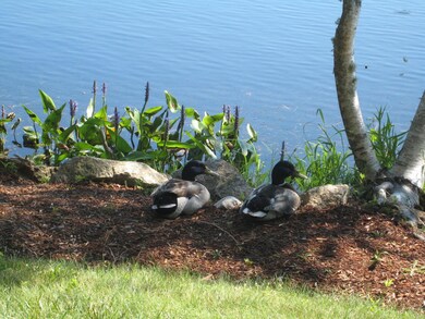 10 Deer Path, Aquinnah, MA 02535 - photo 6