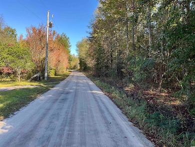 TBD Derrick Ct, Marion, SC 29571 - photo 2